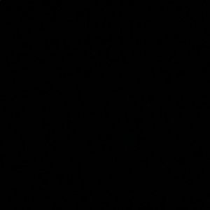 Meet your Posher, Rick